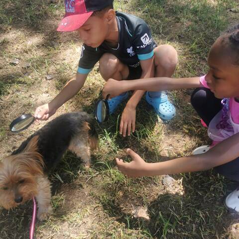 Modderfontein Academy learners and school life, photo 3